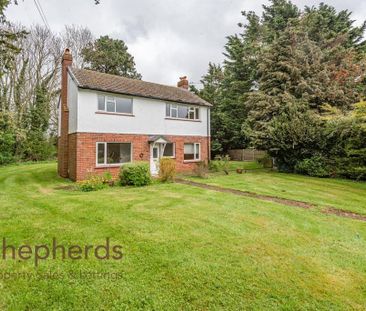 3 bedroom detached house to rent - Photo 6