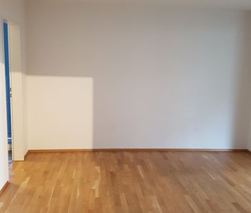 4.5-Zimmer-Wohnung zu vermieten in Uster - Photo 2