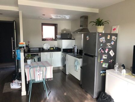 Location Appartement 2 pièces 41m² BRUGUIERES 31150 - Photo 3