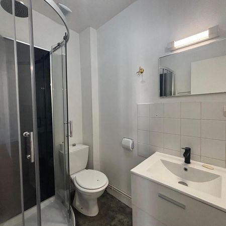 Location Appartement 1 pièce 20m² ANGERS 49100 - Photo 4