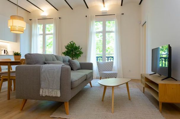 Passeig de Sant Joan, Barcelona, Catalonia 08010 - Photo 1