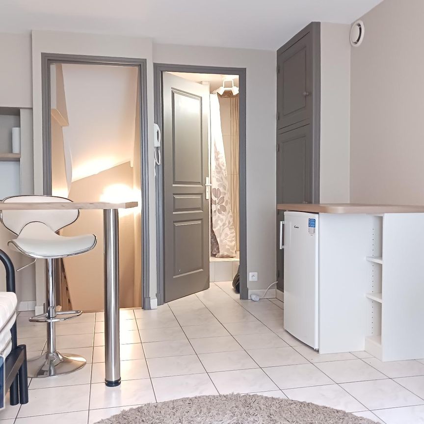 Location Appartement 1 pièce 18m² BLOIS 41000 - Photo 1