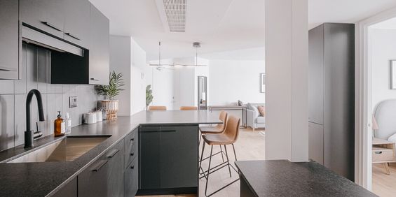 OSTRA Appartements Appartement 4 ½ à Louer Saint-Jean-Baptiste Juillet 2026 - Photo 3