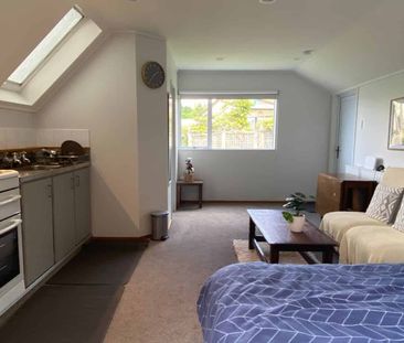 Fernhill studio with single garage - Photo 3