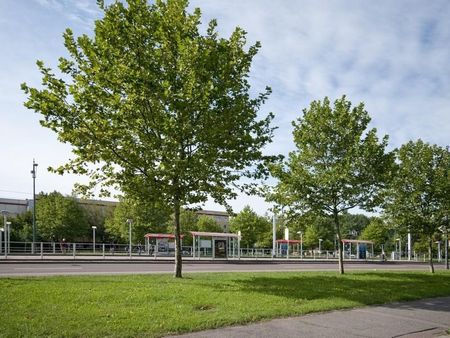 Rennbahnring 55 - An der Rennbahn - Foto 3