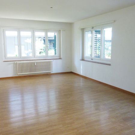 Gemütliche Wohnung Nähe Letzipark - Befristet bis 30.06.2026! - Foto 4