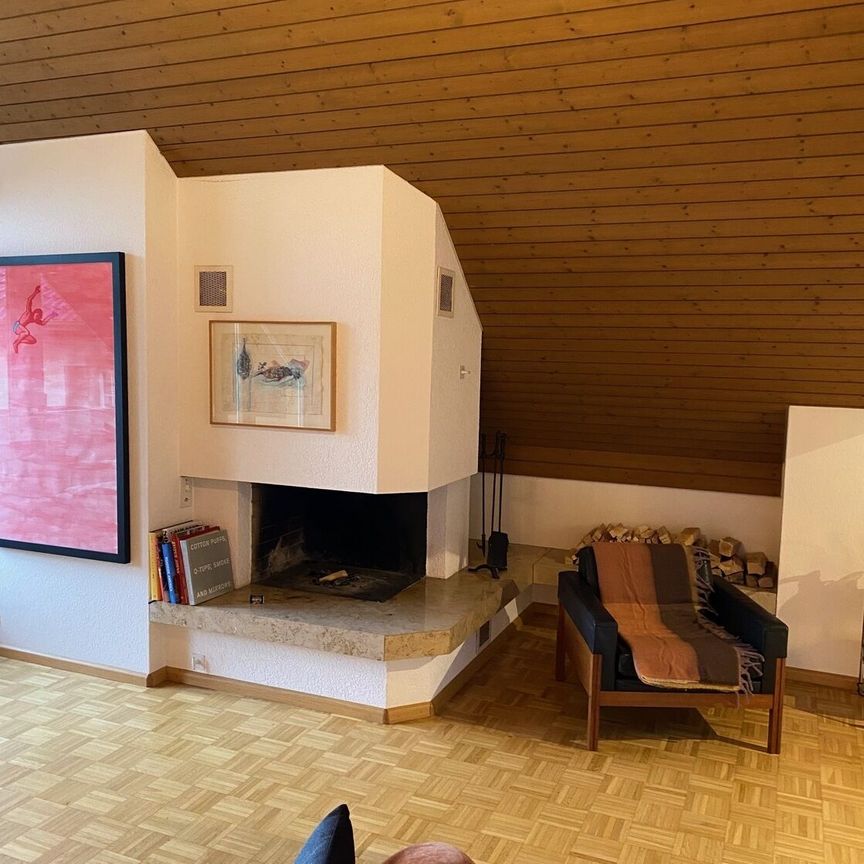 21/2-ROOM APARTMENT IN MUTTENZ (BL), FURNISHED, TEMPORARY - Photo 1