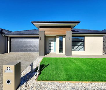 Amazing Family Home! - Photo 3