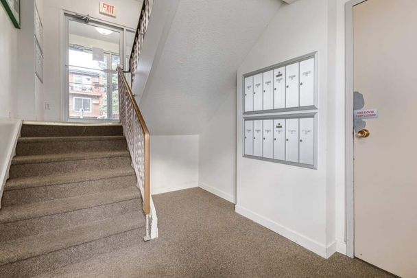 Renovated Suite - 1 Bedroom - Photo 1