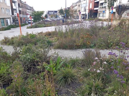 Appartement te huur in Gavere - Photo 3