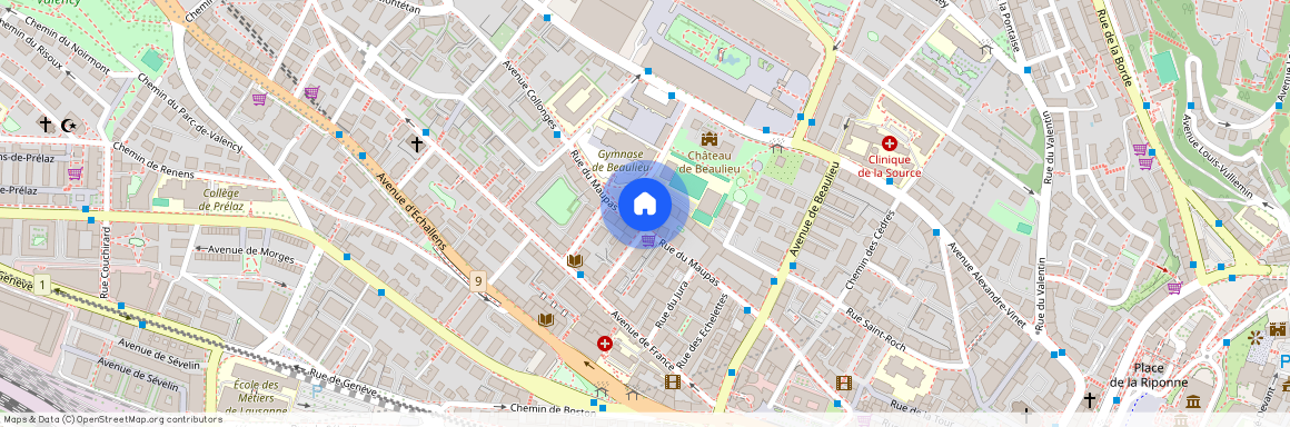 1004, Lausanne, Rue Du Maupas, 44