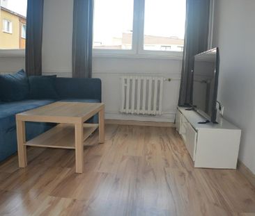Mieszkanie Tychy F powierzchnia 36.2 m² C236-WM-67890 - Photo 5
