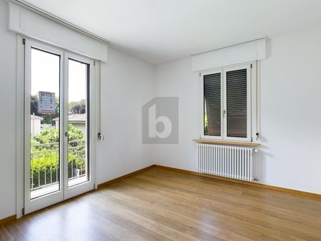 AMPIO E LUMINOSO - Photo 3