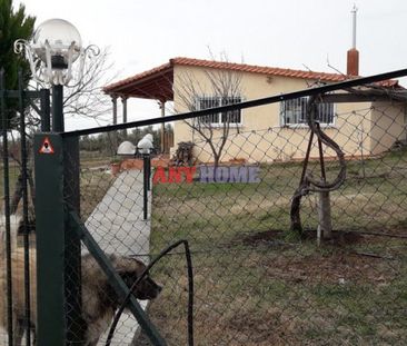Μονοκατοικία για ενοικίαση - Βασιλικά, - Photo 4