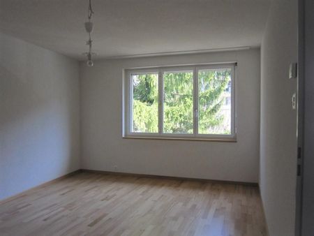 Naherholung mit städtischen Vorzügen | Direkt an der Limmat - Photo 5