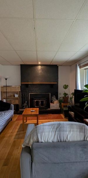 5 1/2 avec foyer (wifi inclus) terrain bordé d'un étang - Photo 1