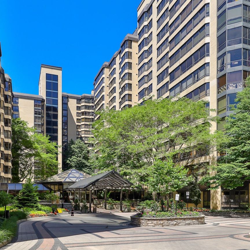 For Lease - 211 St Patrick Street Unit# 206, Toronto, Ontario - Photo 1