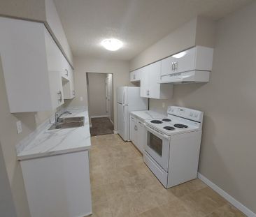 Beautiful 1 Bedroom Unit in Parkvale!! - Photo 5