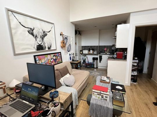 1 bedroom flat to rent - Photo 1