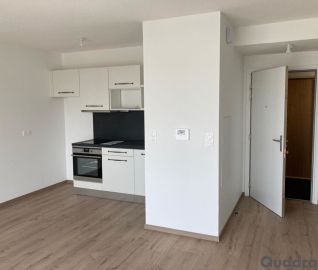 Appartement 2 pièces 41.73 m² - Photo 4