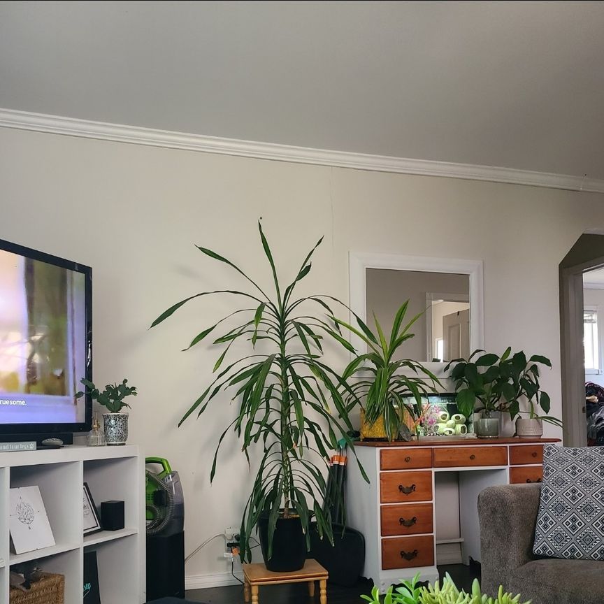 Steeves House - Photo 1