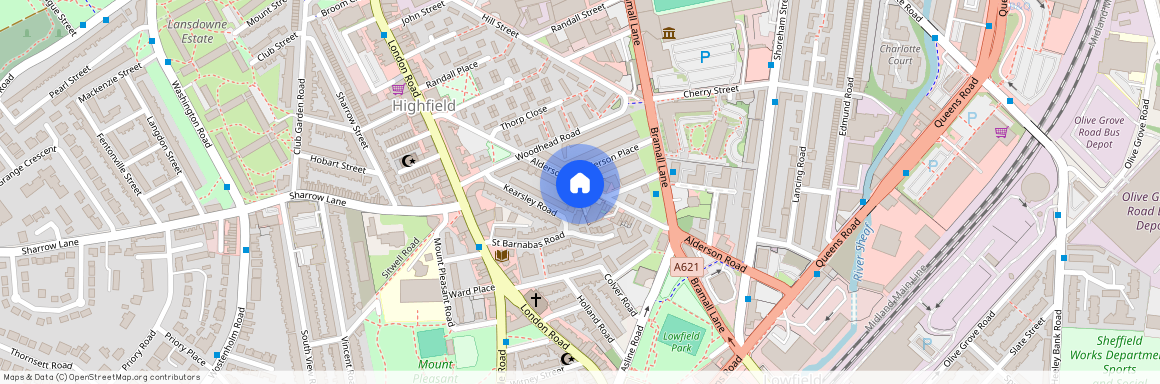 Alderson Road, Sheffield, S2 4UD
