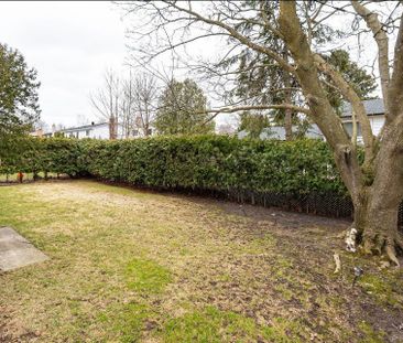 For Lease - 86 Pringle Avenue Unit# Lower, Markham, Ontario - Photo 6