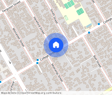 307 College Street, West End, Palmerston North - Photo 1