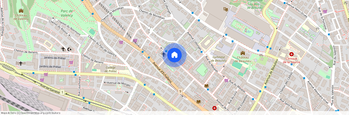 Avenue de France 58, 1004 Lausanne, VD