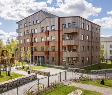Vikaholmsallén, Växjö - Photo 2