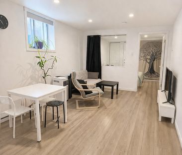 3½ Rénové + Électricité Inc – Animaux - Photo 1