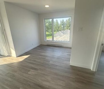 St-Hyacinthe, Logement à louer LIBRE IMMÉDIATEMENT (voir inclusions) - Photo 2