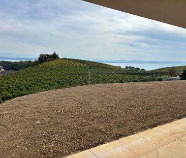 Les terrasses de Sachet, villas de 5.5 pièces à Cortaillod - Photo 4
