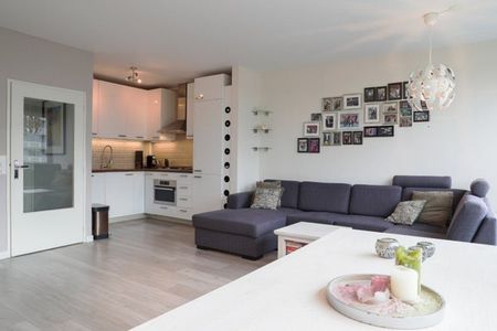 Te huur: Appartement Parnassusweg in Amsterdam - Photo 3