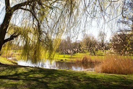 Luksusowe mieszkanie - widok na Park Skaryszewski! - Photo 3