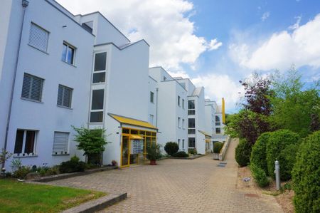 Luminous 3.5-room apartment in Kölliken - Photo 5