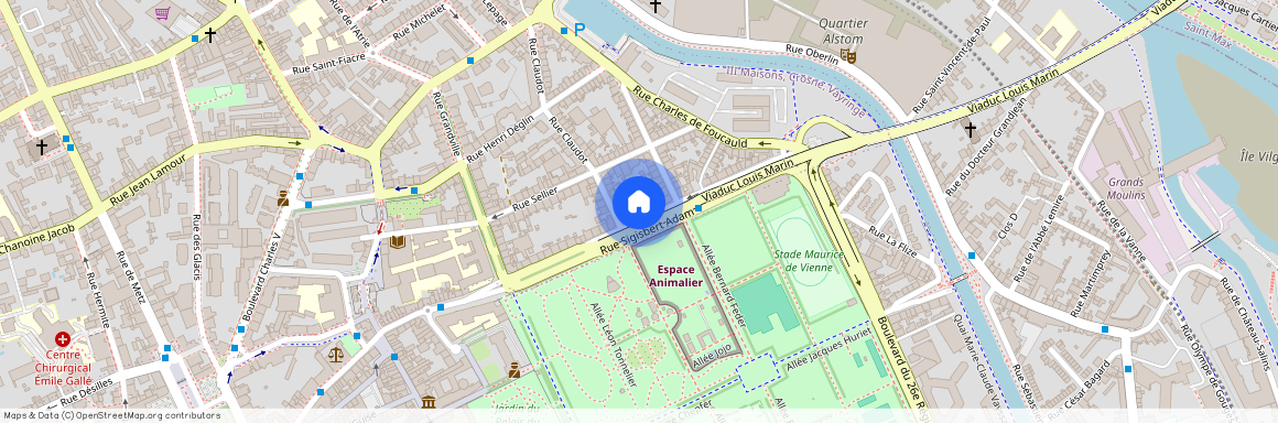 31 RUE SIGISBERT ADAM, Citadelle Sellier C. de Foucauld, Nancy