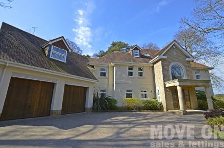 6 bedroom detached house to rent - Photo 4