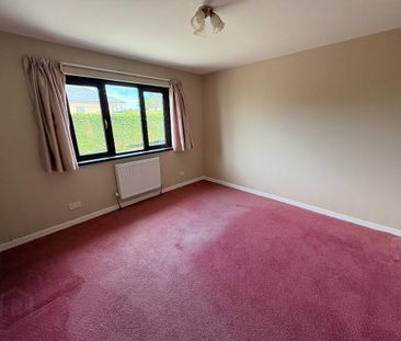 62 Ballysallagh Road, Downpatrick, BT30 7EH - Photo 6