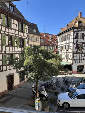 À LOUER ! Studio rénové avec ascenseur, Strasbourg centre-ville, (proximité faculté de médecine). - Photo 3