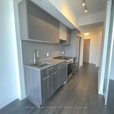 Dundas St E/ Jarvis St. Beautiful 1Bdrm Laminated Floor Thru Out - Photo 3