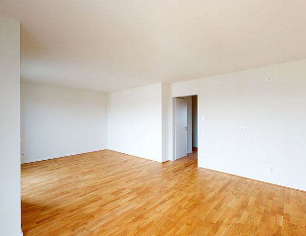 Für Singles oder junge Paare: Moderne 2-Zimmer-Wohnung - Photo 1