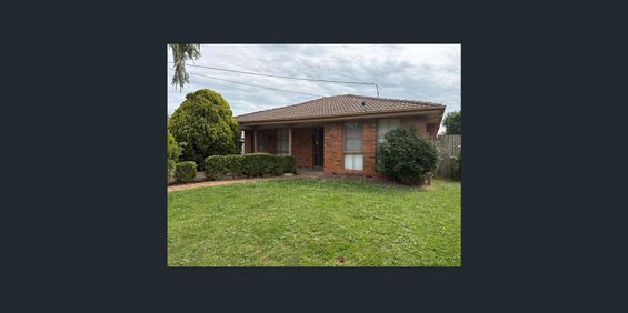 Brand new painting, carpet and floorboards - Photo 3