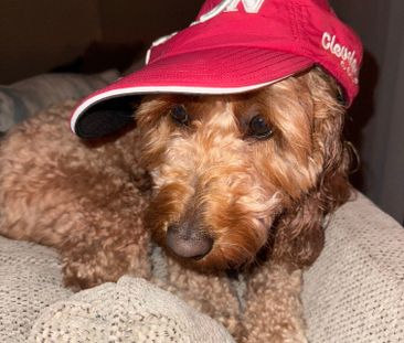 Middle Park - Photo 1