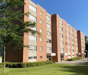 Sanierte Wohnung in familienfreundlicher Umgebung - Photo 2