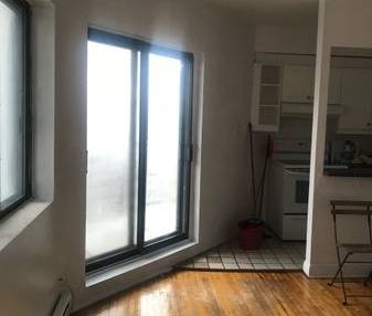 One-Bedroom in Côte-Des-Neiges/NDG - Photo 2