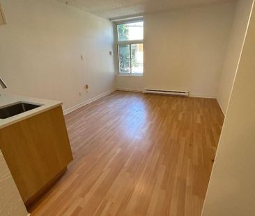 Studio - Saint-Charles-Borromée - $1,049 /mo - Photo 2