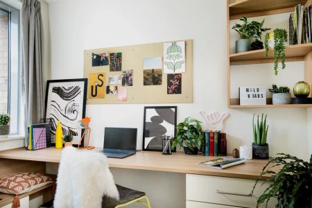 Medium High Double Studio - Photo 5