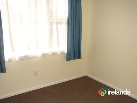 Warm Sunny Family Home - Photo 4