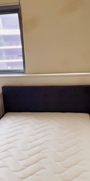 6 Archibald Avenue, Sydney - Photo 2